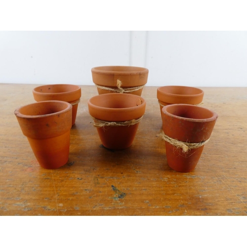 205 - A collection of small terracotta plant pots.