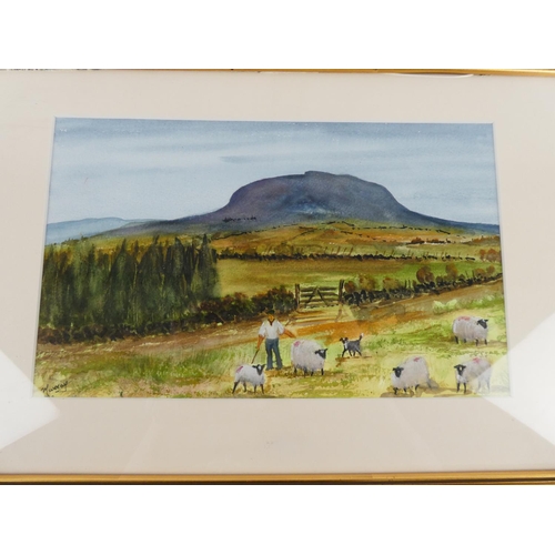 87 - A framed watercolour 'Slemish Mountain' signed Murray.