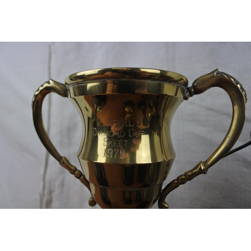 490 - A collection of presentation cups and trophies to include 'Eglinton Equestrian Club, Lisdoo Trophy',