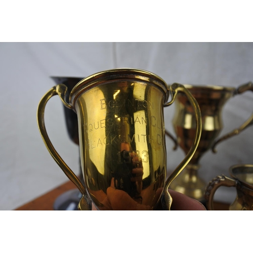 490 - A collection of presentation cups and trophies to include 'Eglinton Equestrian Club, Lisdoo Trophy',