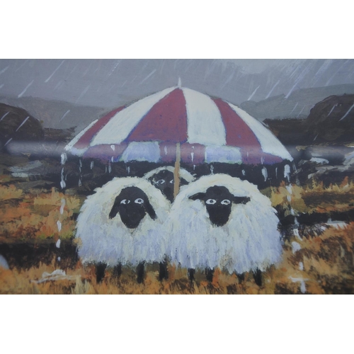 570 - A novelty framed print of sheep.