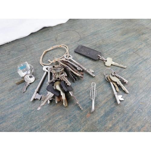 21 - An assortment of various keys.