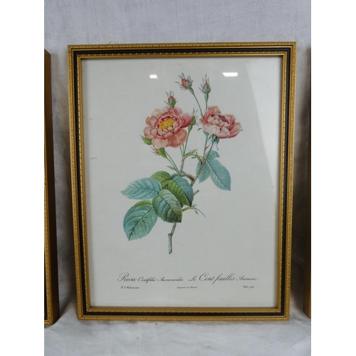 86 - A set of four framed floral prints by C P Productions Ltd, Northern Ireland.