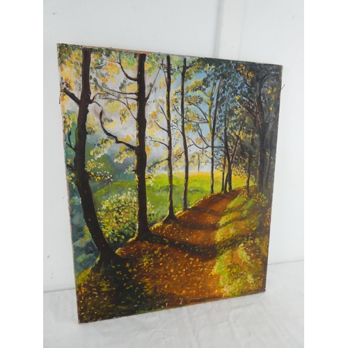 274 - An unframed oil painting of a forest scene, measuring 56cm x 46cm.