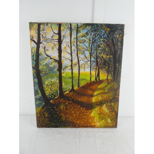 274 - An unframed oil painting of a forest scene, measuring 56cm x 46cm.