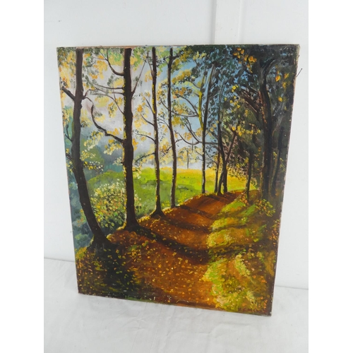 274 - An unframed oil painting of a forest scene, measuring 56cm x 46cm.