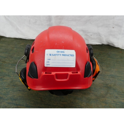 167 - A Petzl hardhat.