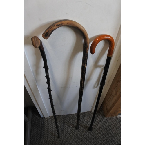 539 - An antique blackthorn walking stick and two others.