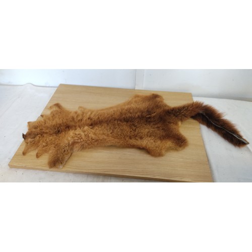 293 - A vintage fox pelt.