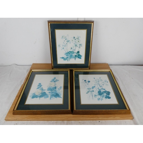 770 - A set of three oak framed prints, each measuring 26cm x 22cm in size.