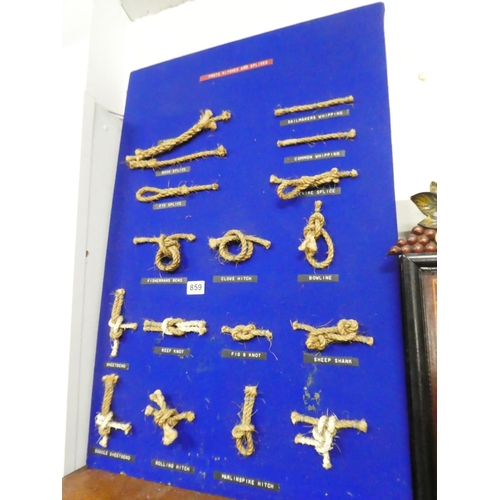 859 - A large knot display, measuring 94cm x 62cm in size.