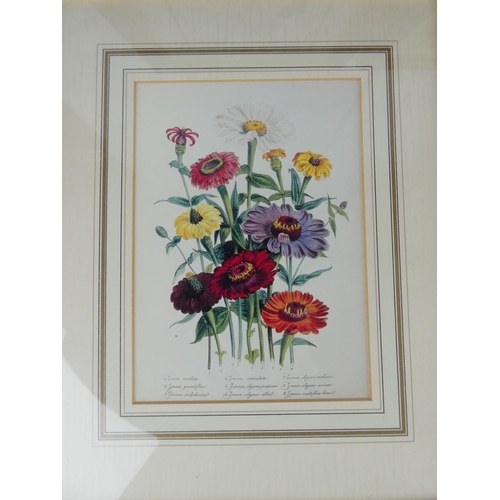 896 - A stunning set of four botanical prints in gilt frames, each measuring 19cm x 14cm.