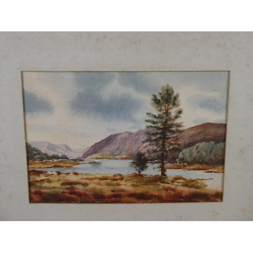 1102 - An unframed watercolour by Bobbie Anderson.