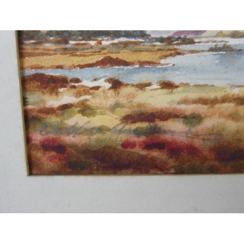 1102 - An unframed watercolour by Bobbie Anderson.