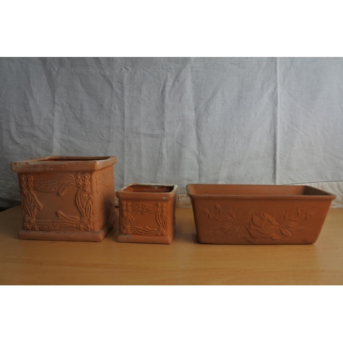 164 - A collection of small terracotta plant pots.