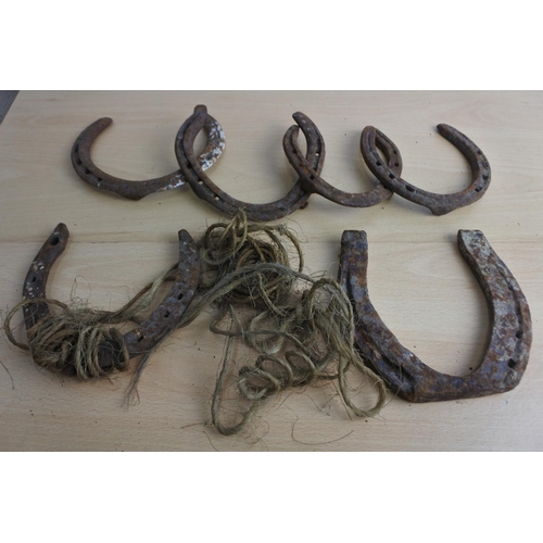 181 - A collection of old horse shoes.