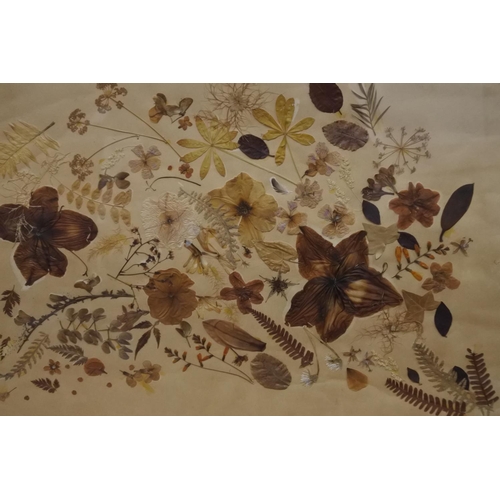 270 - A large framed picture of pressed flowers.