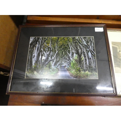 451 - A framed photograph of the Dark Hedges, Stranocum, Ballymoney.