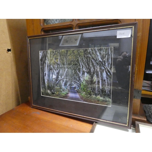 451 - A framed photograph of the Dark Hedges, Stranocum, Ballymoney.