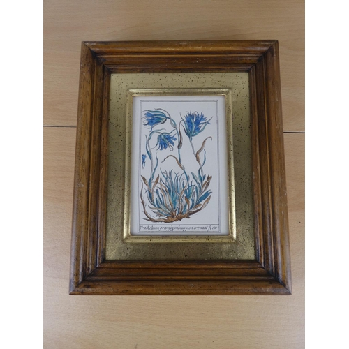 494 - A set of three oak framed horticultural prints.