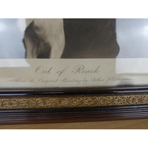 530 - An antique framed print 'Out of Reach' (a/f).