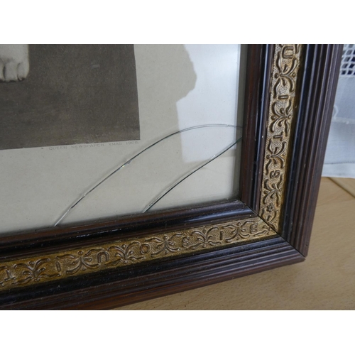 530 - An antique framed print 'Out of Reach' (a/f).