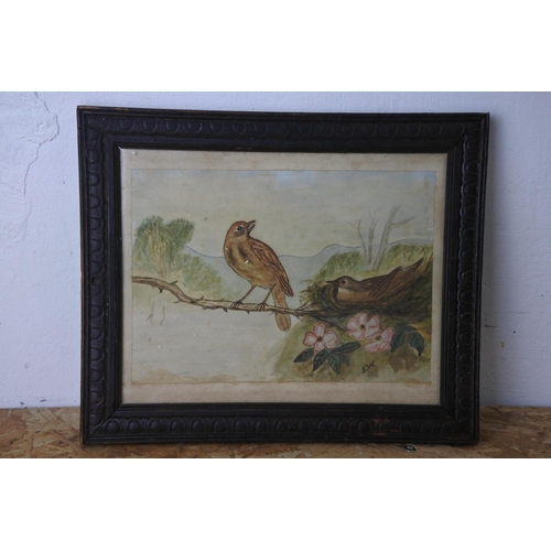 561 - An early framed drawing of birds signed SW.