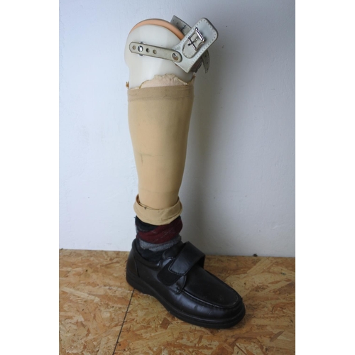 570 - A prosthetic leg.