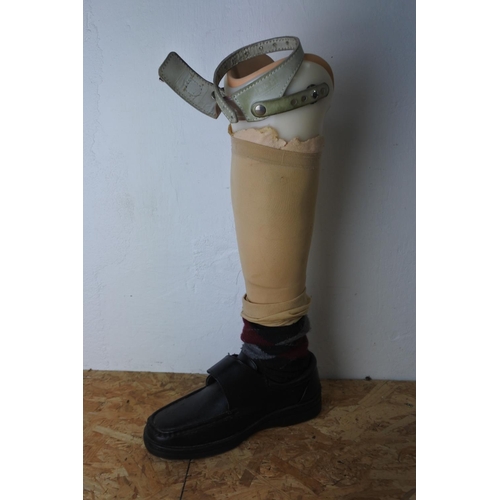 570 - A prosthetic leg.