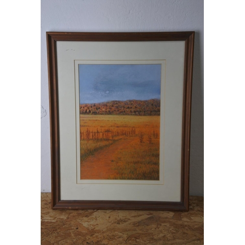 581 - A frame pastel drawing signed.