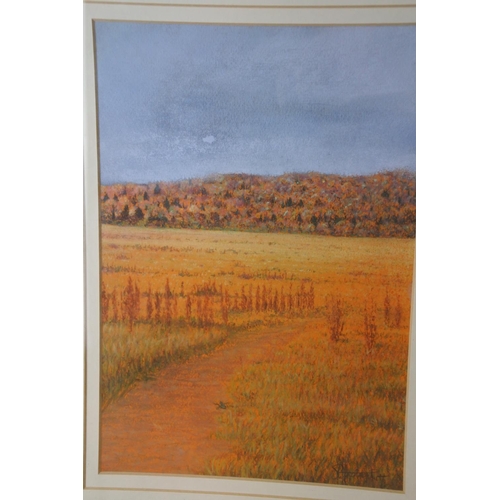 581 - A frame pastel drawing signed.