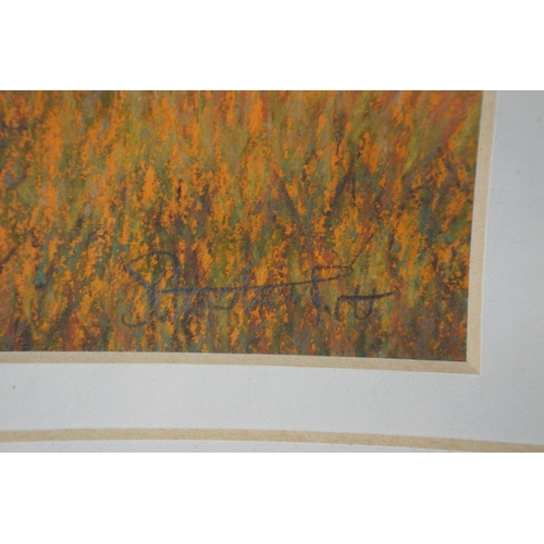 581 - A frame pastel drawing signed.