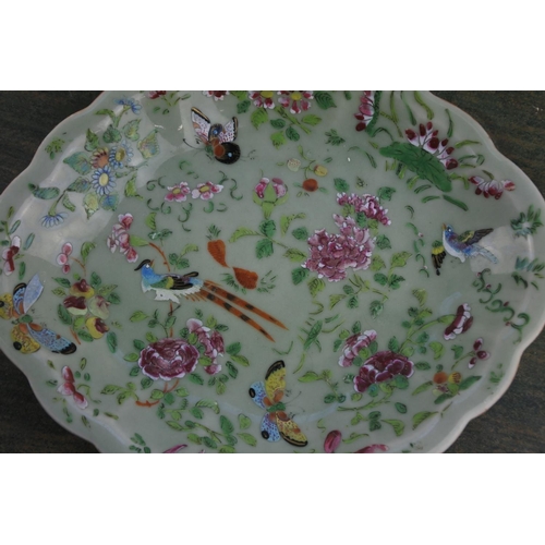 737 - A pair of antique plates decorated with hand painted butterflies and flowers.