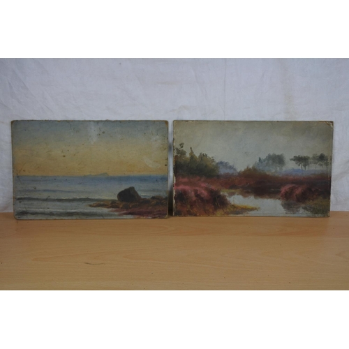 12 - Two stunning unframed oil paintings by Lady Macnaughton.