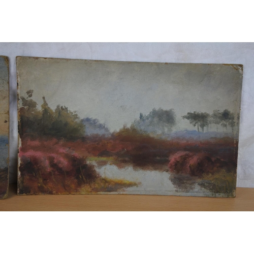12 - Two stunning unframed oil paintings by Lady Macnaughton.