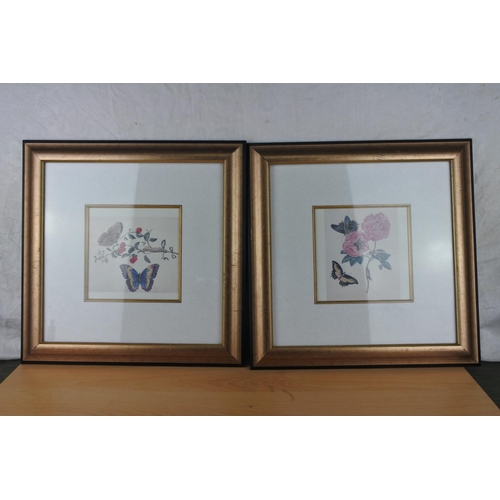 603 - A stunning pair of butterfly prints.