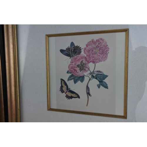 603 - A stunning pair of butterfly prints.