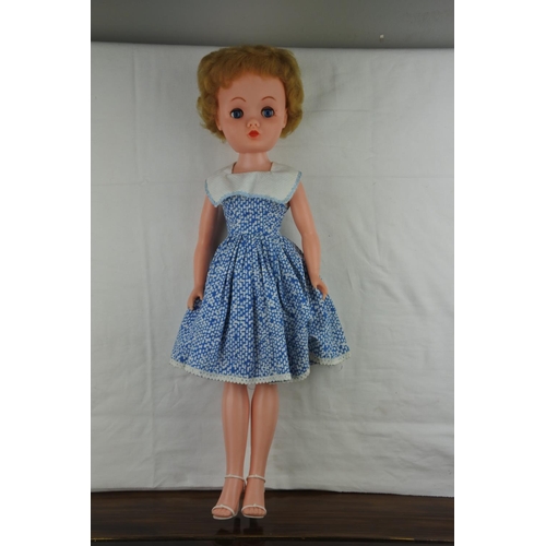 360 - A boxed 1950's Roddy teenage doll