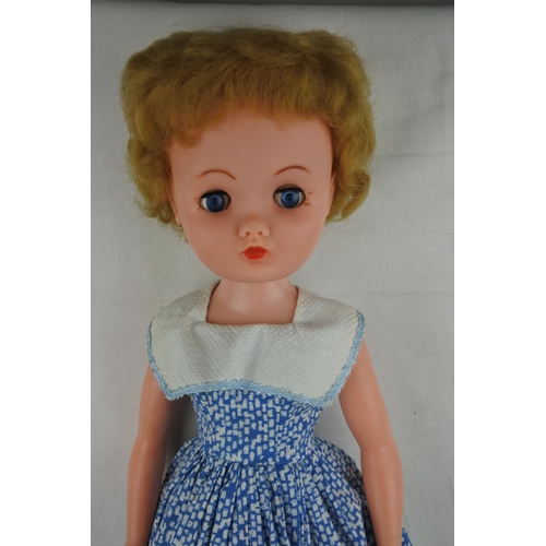 360 - A boxed 1950's Roddy teenage doll