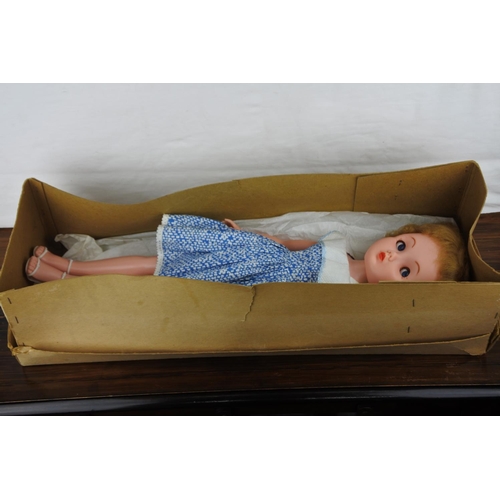 360 - A boxed 1950's Roddy teenage doll