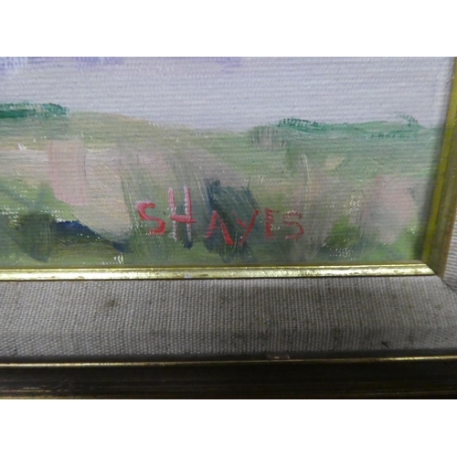 189 - A framed oil painting signed S Hayes. Approx 29x39cm.