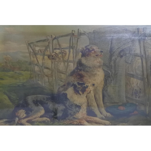 218 - An antique framed print 'Keeping Watch'. Approx 35x46cm.