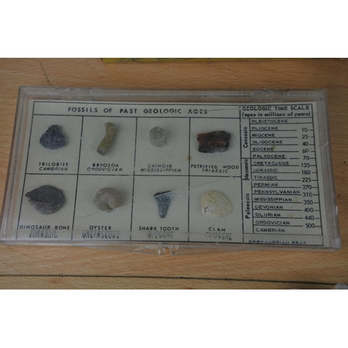 234 - Two cased sets of Fossil stones and more.