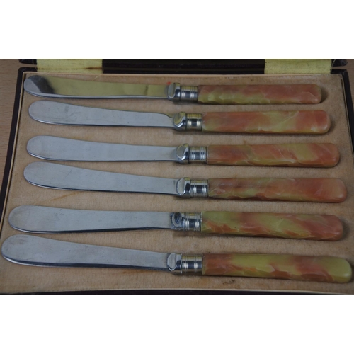 241 - A cased set of vintage butter knives.