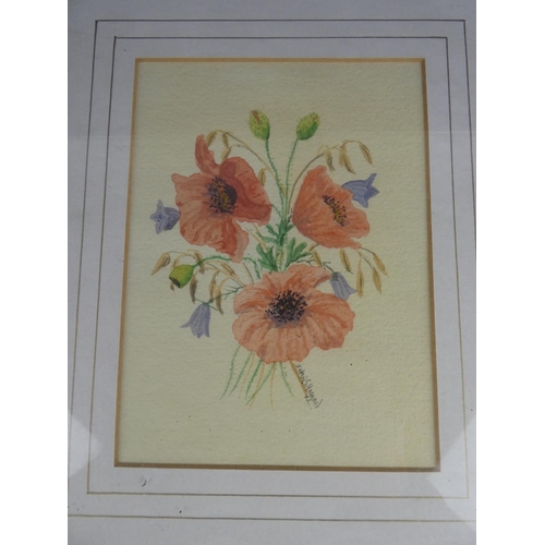 397 - A framed watercolour of poppies signed John S Haggan. Approx 19x14cm.