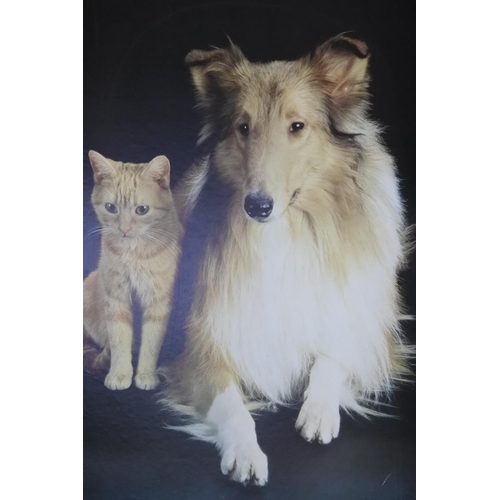 424 - A large vintage print of cat and dog.