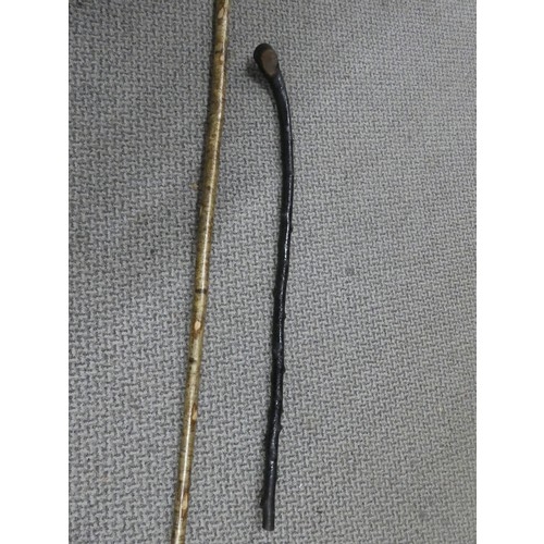 141 - A horn handled shepherd crook and another. Approx 162cm and 80cm.