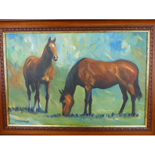 538 - A framed oil painting of horses signed J McDonald.