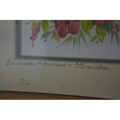 604 - A pair of unframed floral prints signed by the artist C Holding.