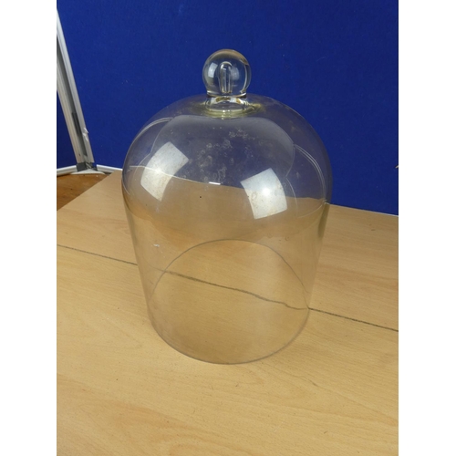 130 - A vintage glass dome, measuring 31cm in height.